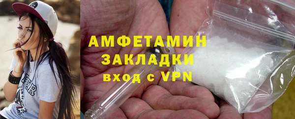 мет Алексин
