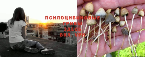 прущий лед Алзамай