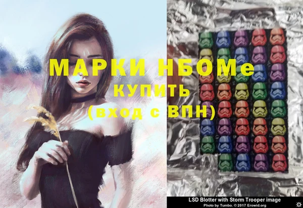прущий лед Алзамай