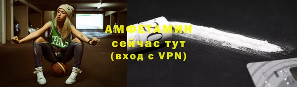 мет Алексин