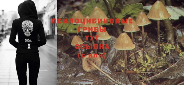 прущий лед Алзамай