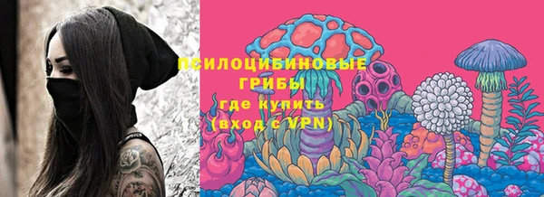 прущий лед Алзамай