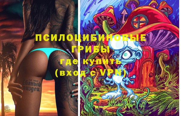 мет Алексин